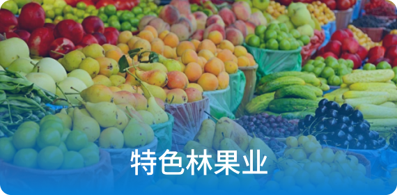 特色林果业