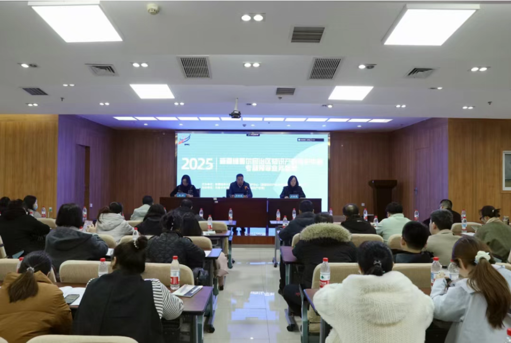 筑知识产权保护高地 赋丝路创新发展动能